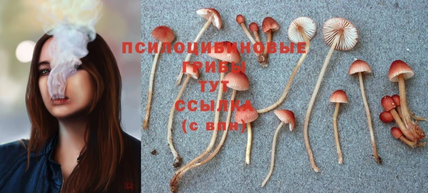 спиды Иннополис