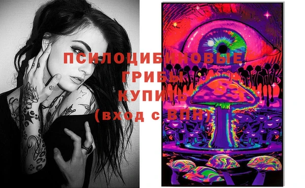спиды Иннополис