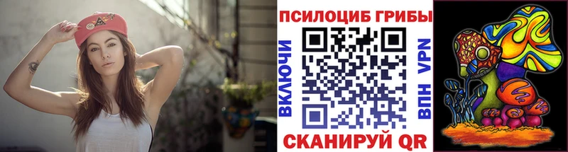 сайты даркнета телеграм  где купить наркотик  Калачинск  Галлюциногенные грибы Psilocybe 